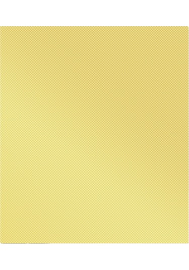 Hangfox Altın Renkli 1 Adet Barbekü Matı - 260 C Isı Dayanıklı, Yapışmaz, Teflonlu, Tekrarlı Kullanımlı Mangal Yemek Matı Çok Renkli