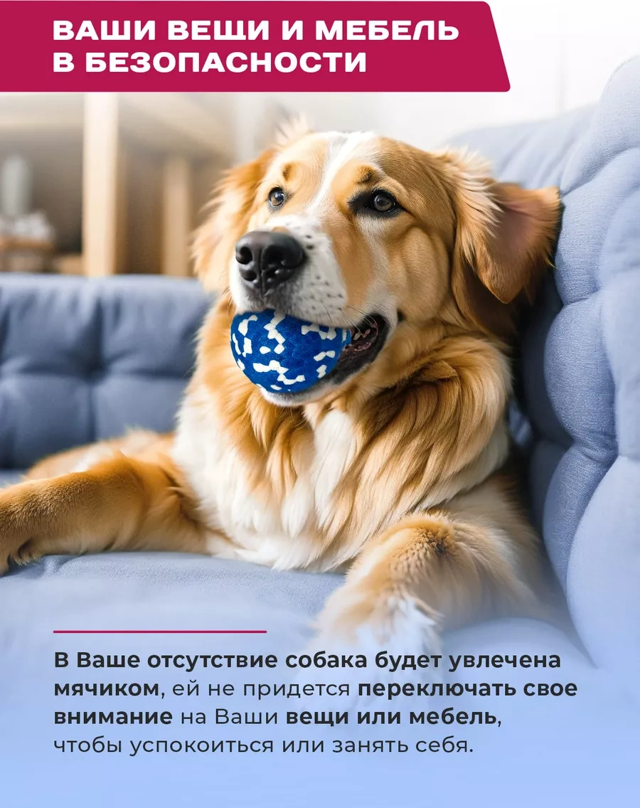 Purrfect Place Köpekler İçin Oyuncak, Süper Dayanımlı Top 201070470