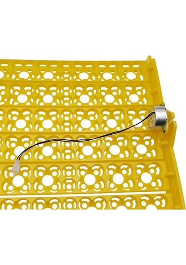 Pazly Suntek Motor Kümes Kuluçka Hayvanları Dc Cihazı Çiftliği Jn