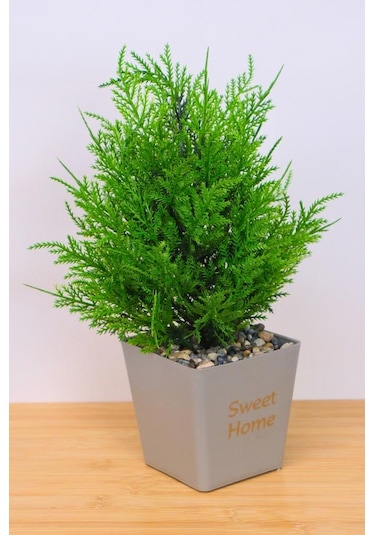 Digithome Dekoratif Saksılı Yapay Kuşkonmaz Ağacı Bej 35cm Eva-5683 C1-1-423