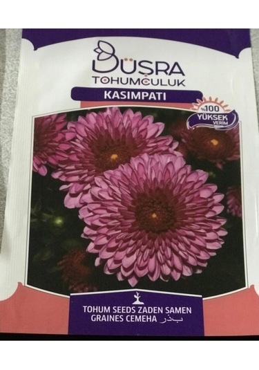 Çiçek Tohumu Kasımpatı