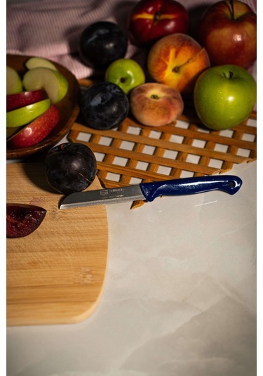 Solingen Simli Meyve Bıçağı Mavi Saplı, 18,5 Cm, Paslanmaz Alman Çeliği Tekli -127 Mavi