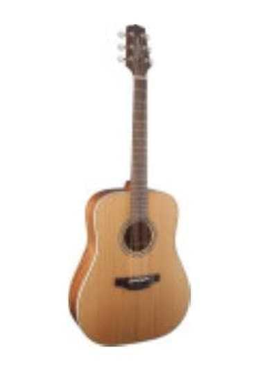 Takamine Gd20-Ns Akustik Gitar Kılıf + Askı + Pena