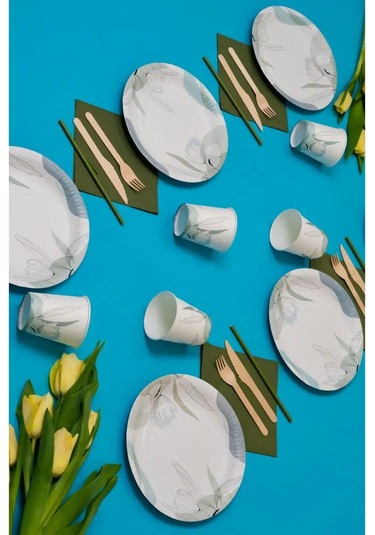 Albeta Parti İçin 20 Kişilik Tek Kullanımlık Sofra Takımı 156771821 100 adet