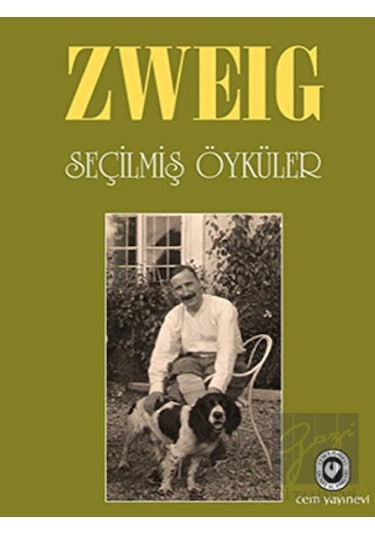 Cem Yayınevi - Seçilmiş Öyküler