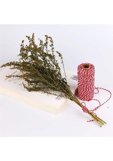 Kırmızı Beyaz  Yılbaşı Paket Ipi 200 M(Twine Baker)