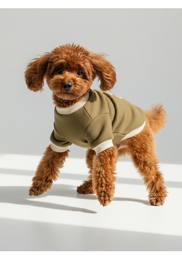 Minik Aslan Köpek Sweatshirt Haki