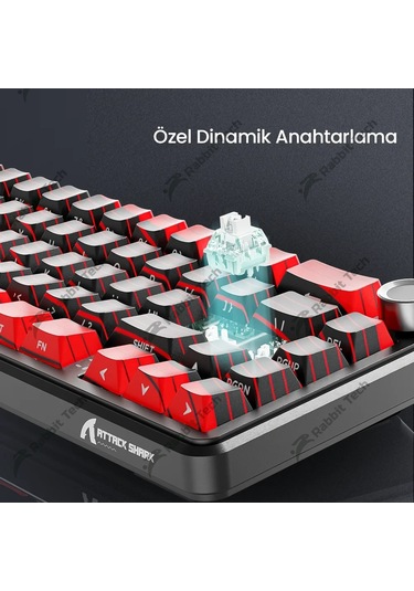 Black Gradiant Rgb Kablosuz Hotswap Mekanik Gaming Klavye Oyuncu Klavye