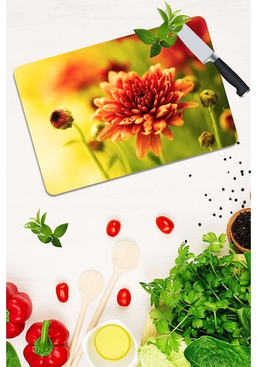 Model 200 Cam Kesme Tahtası 30 Cm X 40 Cm