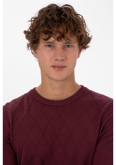 U.s. Polo Assn. Erkek Plum Kazak /triko 50315748-vr177 New Plum