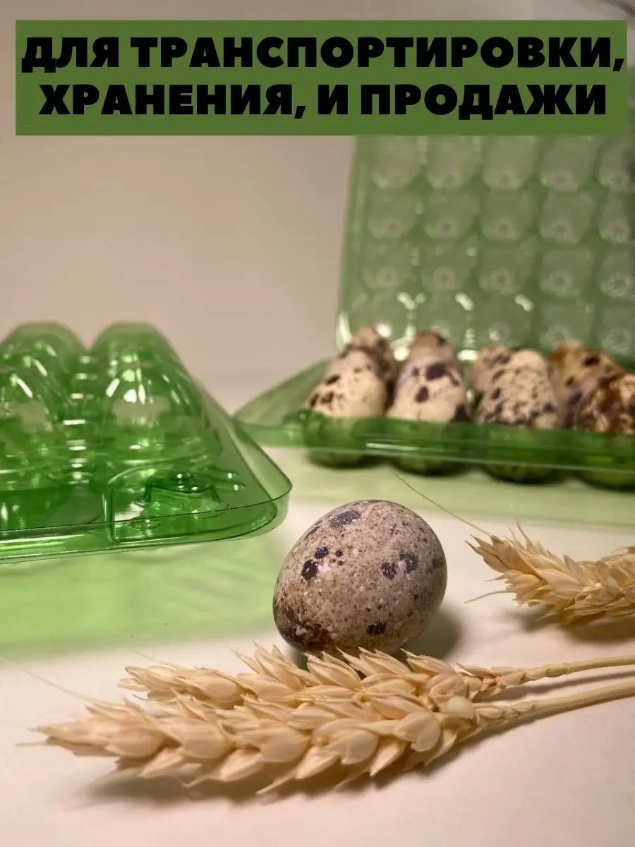 Tpt Bıldırcın Yumurtaları İçin 20 Gözlü Kutu - 100 Adet 119389110 Yeşil