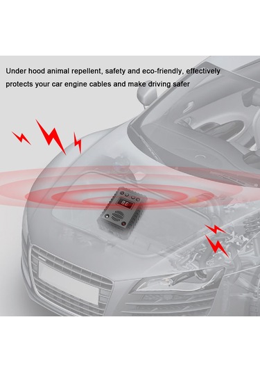 E22915 Hayvan Kovucu Siyah