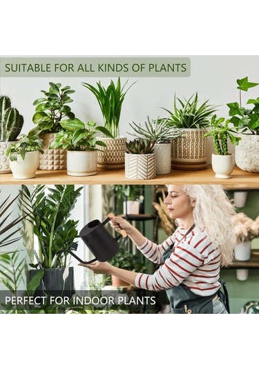 Pazly Uzun Uçlu Sulama Saksı Paslanmaz Çelik Bitki Kabı 35oz - Geeroyoo Ev İçin Modern Xq
