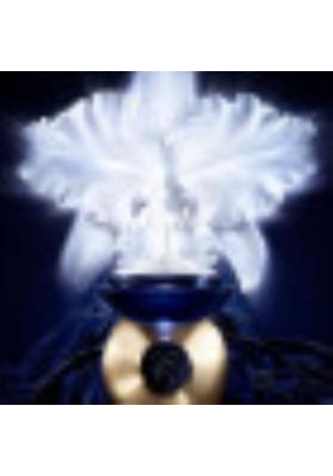 Guerlain Orchidee Imperiale 5G Day Cream 50 ML