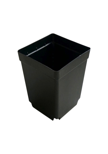 100 Adet Bitki Tek Kullanımlık Çiçek Saksısı Küçük Siyah Kare Kesme Fide Plastik Kare Saksı