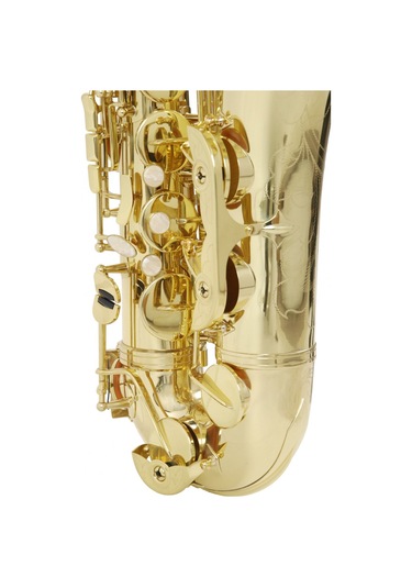 Roy Benson Ts-302 Tenor Saksafon