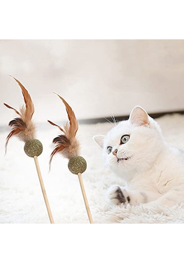 Pribor Tüylü Catnipli Kedi Oyun Oltası, Kedi Naneli