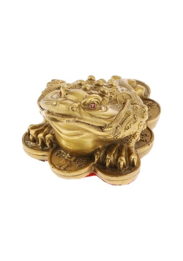 Trendooze Homyl Feng Shui Çin Zenginliği L L, Şanslı Para Talimatı L