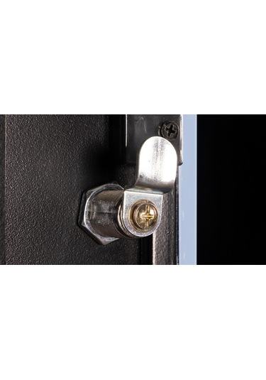 Lande - 12u 19" Duvar Tipi Rack Kabinet Genişlik: 600 Mm Derinlik: 600 Mm Siyah