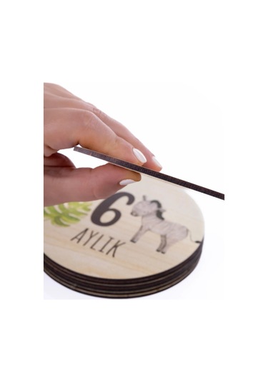 Sevimli Safari Hayvanları İle Ahşap Bebek Fotoğraf Çekim Kartları