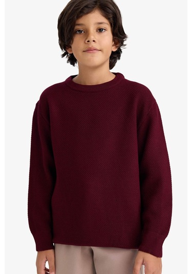 Defacto Erkek Çocuk Bisiklet Yaka Triko Kazak G5563a825wnbr464 Bordo-br464
