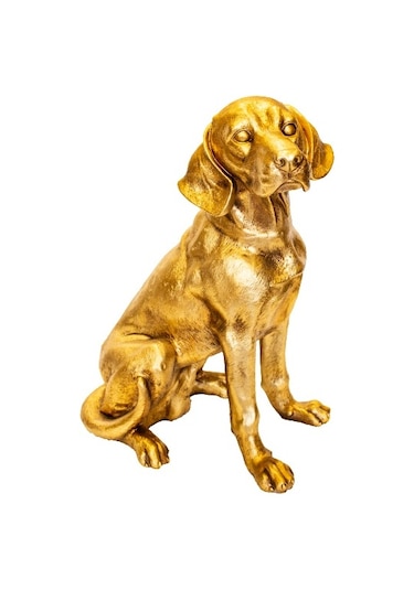 Av Köpeği C 4241 Biblo - Altın