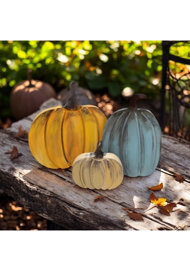 Naturel Görünümlü Balkabakları Ailesi 3'lü Set