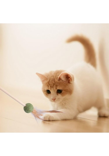 Pribor Tüylü Catnipli Kedi Oyun Oltası, Kedi Naneli
