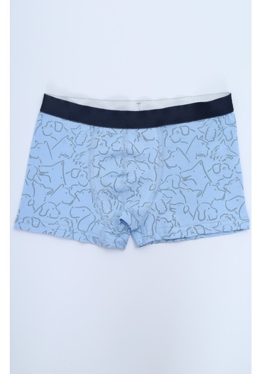 Toontoy Erkek Çocuk Çizgili Desenli Baskılı 4lü Paket Boxer Çok Renkli