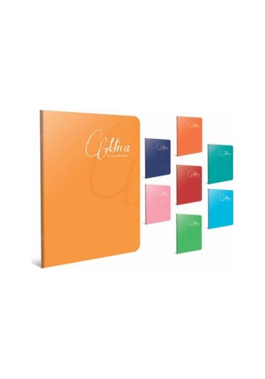 Gıpta Mica A4 60 Yp Kareli Pp Kapak Defter  1705