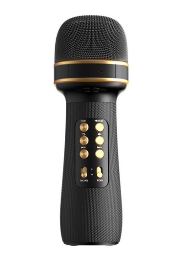 WS898 Ses Efektli Kablosuz Bluetooth Karaoke Mikrofon