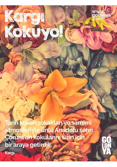 Golonya Kargı Cam Şişe Kolonya 250 ML