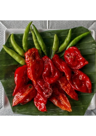 Doğal Dünyanın En Acı Biber Tohumu Bhut Jolokia 4 Tohum