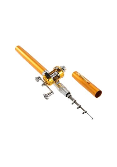 Dianziye Alüminyum Fiberglas Mini Balıkçılık Seti - Kalem Tipi Olta + Makara + İp + Yem Kutusu, 99cm Uzunluk, 1kg Yük Kapasitesi Altın