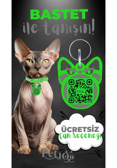 Petjoo 1.Bastet Gri-Yeşil Qr'lı Kedi Künyesi