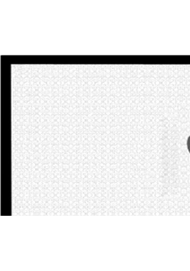 Homyl Pet Çit Kapalı Güvenli Koruma Köpek Kapısı Stil-g