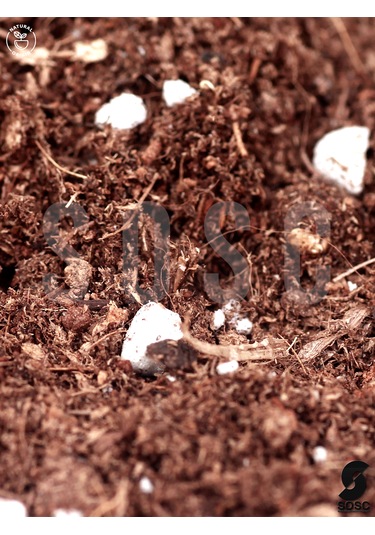 Substrat Mix Çiçek Ve Bitki Toprağı 1 Lt