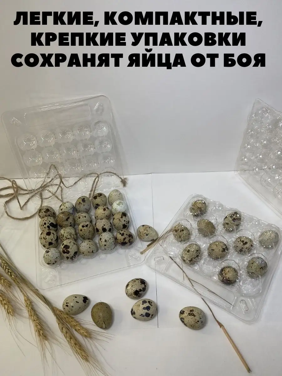 Tpt Paketleme, Bıldırcın Yumurtası İçin 20 Gözlü Tepsi - 50 Adet 120856033 Beyaz