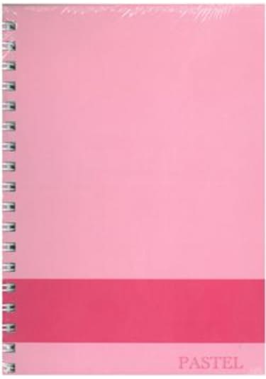 Elma 17*24 PASTEL DEFTER 120 YP Çizgili