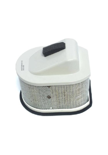 Motomaster 303-580 Hava Filtresi