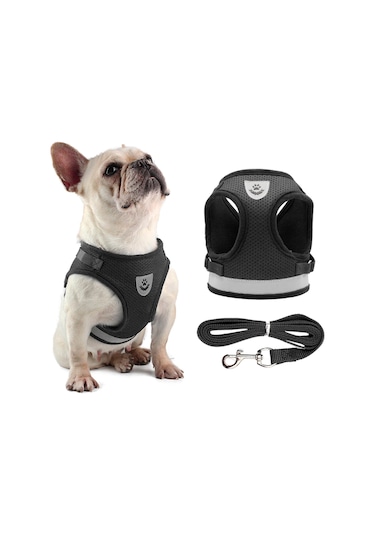 Geeroyoo Küçük Köpekler İçin Havalandırmalı Gece Yürüyüş Yeleği Ve Tasma Seti - Siyah S Bl-844 Siyah