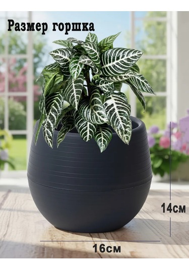 Saburg Çiçek Saksısı Seti 2 Adet, 1,2 Litre Otopompalı Saksı 60807039