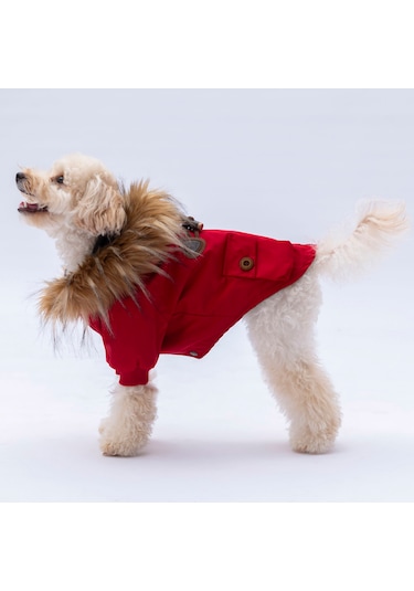Pawstar Kırmızı Charles Polarlı Kedi Köpek Montu