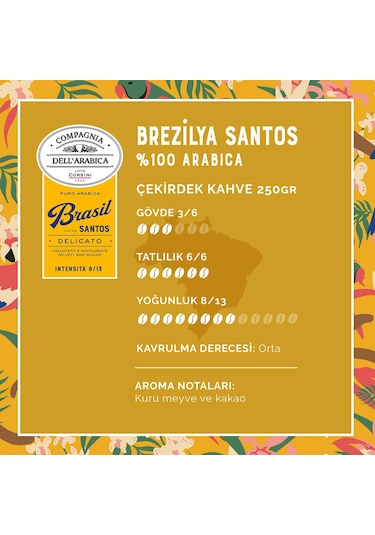 Caffe Corsini Brezilya Santos %100 Arabica Çekirdek Kahve 250 G