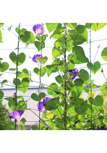 Tenfowee Nylon Bahçe Tırmanma Ağı 3.6x1.8m - Sebze, Meyve Ve Çiçek Tırmanıcı Bitkiler İçin Dayanıklı Destek Ağı