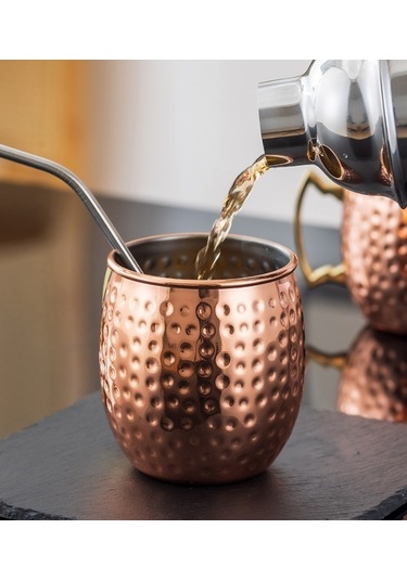 Lichen Paslanmaz Çelik Barmen Kaşığı, Pipetli Kaşık, Bar Barmen