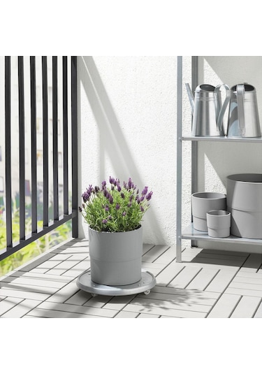 Plastik Saksı, Gri, 19 Cm 9X15 Cm Körüklü-20 Adet