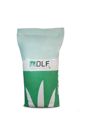 Fare Kulağı TohumuDichondra Repens500 GR