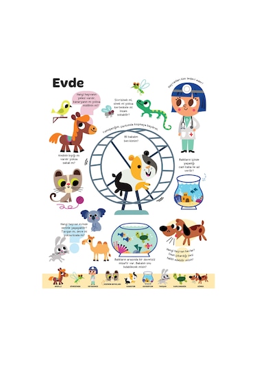 Büyük Sorular Kitabım Hayvanlar - Sandra Lebrun et Loic Audrain - Yapı Kredi Yayınları