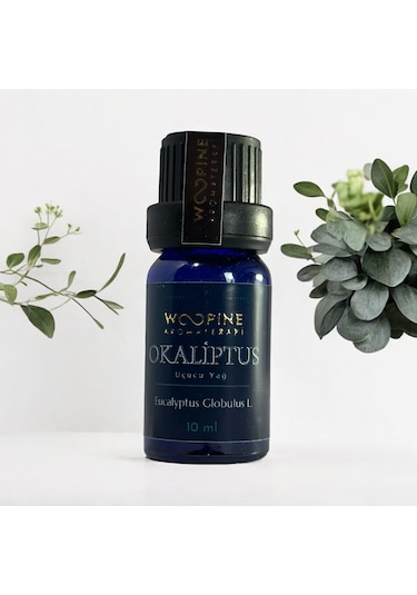 Okaliptus Uçucu Yağı